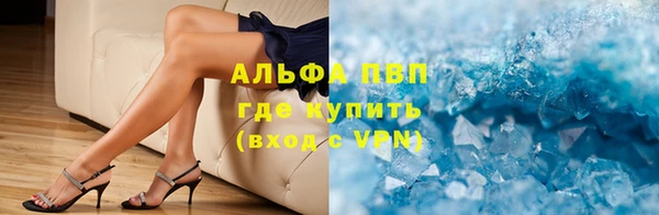 гашик Козельск