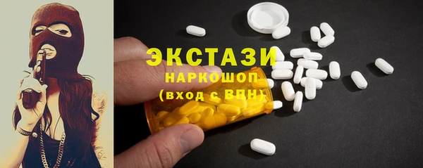 гашик Козельск