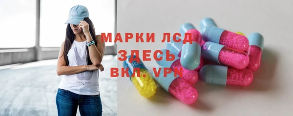 гашик Козельск