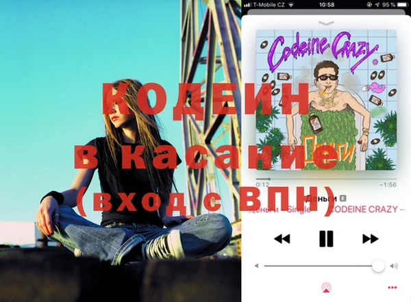 гашик Козельск