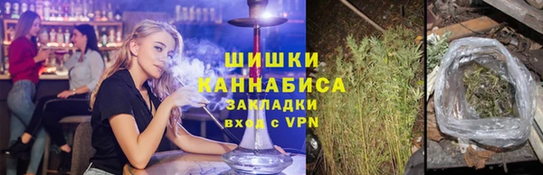 гашик Козельск