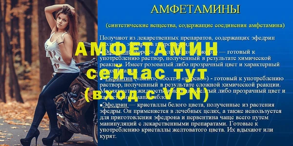 гашик Козельск