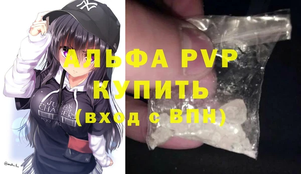 гашик Козельск