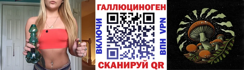 Галлюциногенные грибы мицелий  Купить закладки  Кировград 